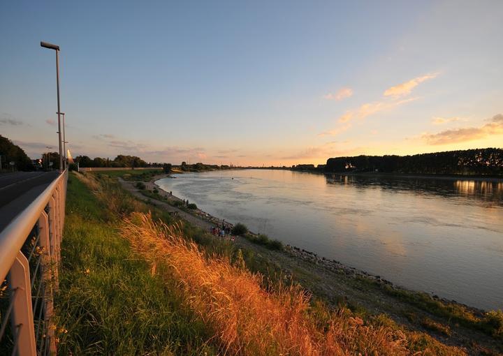 Restaurant Zum Vater Rhein